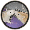 rattus norvegicus